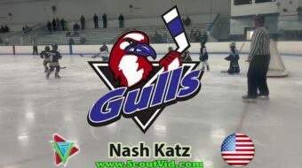Nash Katz – Long Island Gulls Image